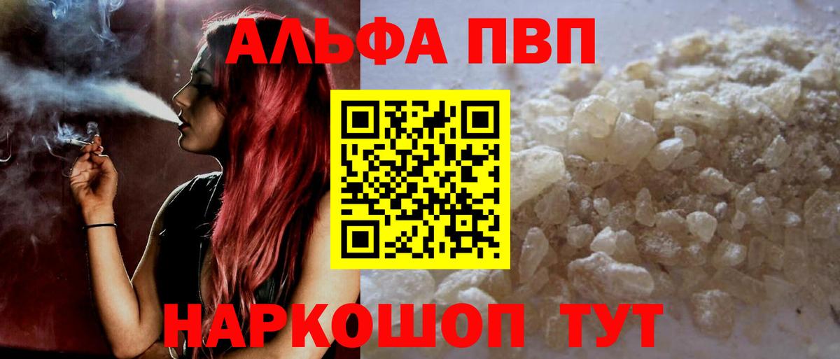 Альфа ПВП СК Химки