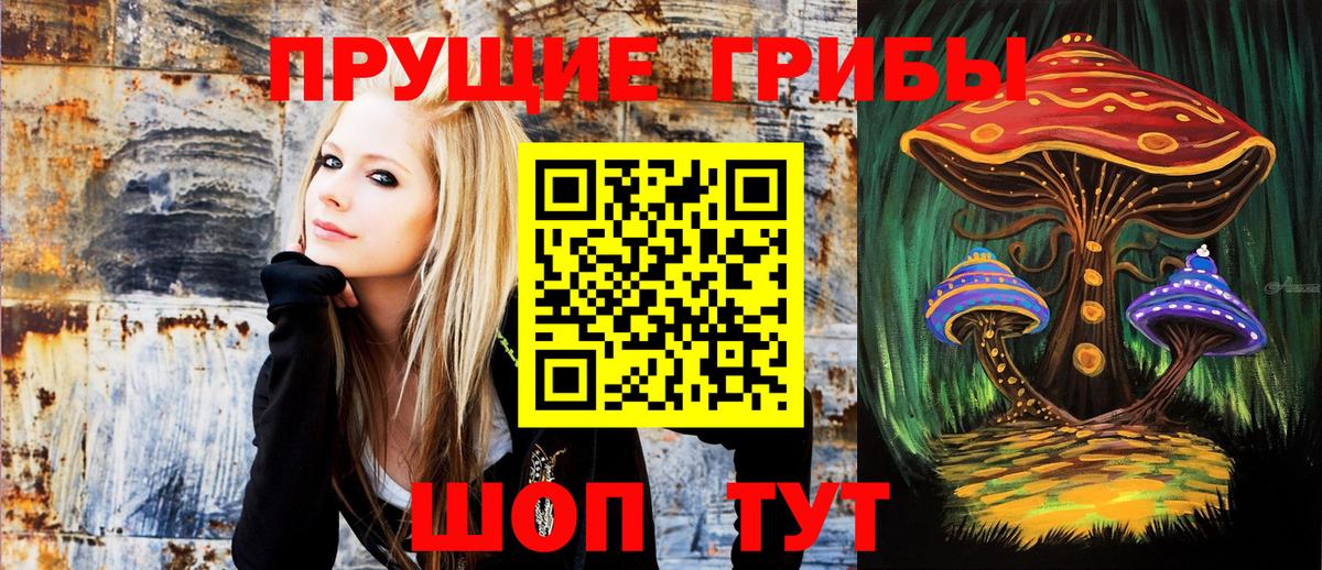 Галлюциногенные грибы Psilocybe  Вход с VPN  Химки 